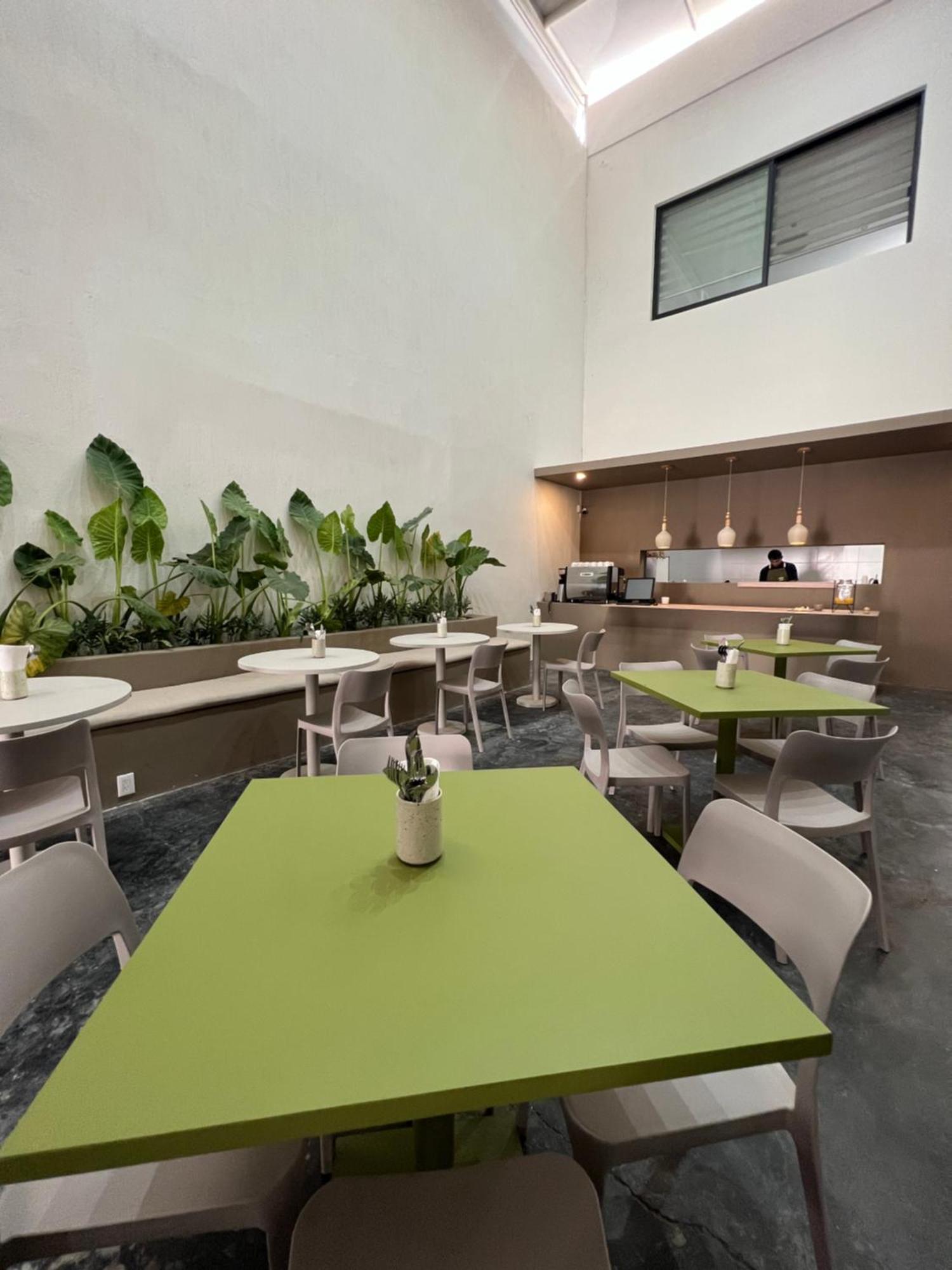 Tlaquepaque Aura Hotel B&B מראה חיצוני תמונה